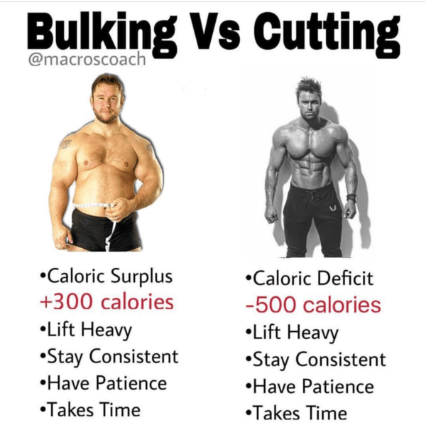 Bulking vs. Cutting - Macros Coach